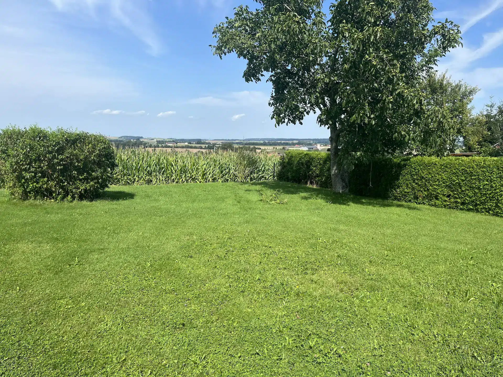 Vorher